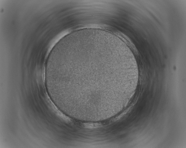 X0000081470804200702092338