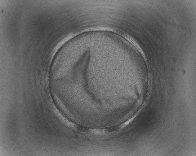 X0000081470805200702092338