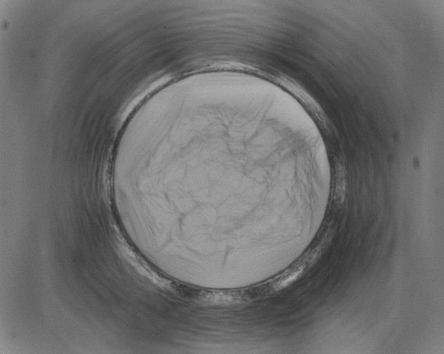 X0000081470806200702092338