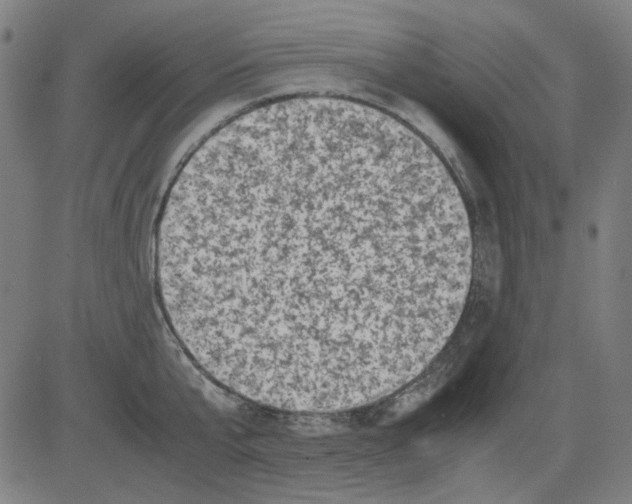 X0000081470807200702092338