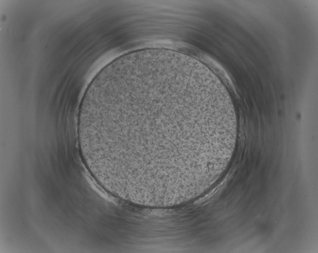 X0000081470808200702092338