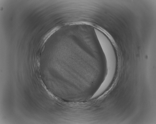 X0000081470809200702092338