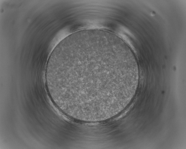 X0000081470810200702092338