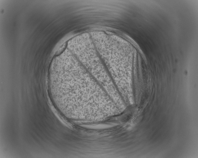 X0000081470811200702092338