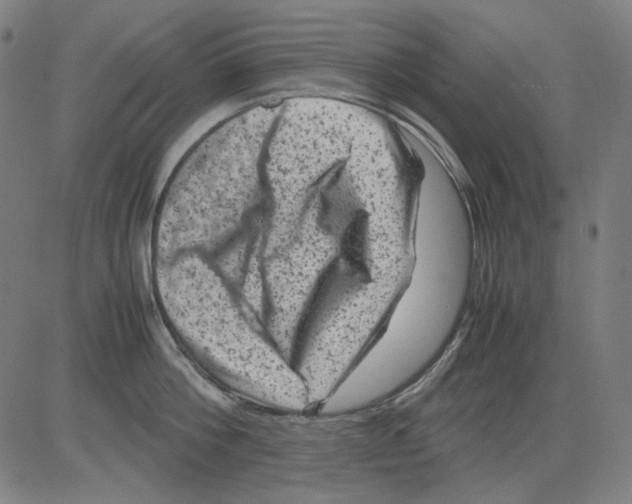 X0000081470812200702092338