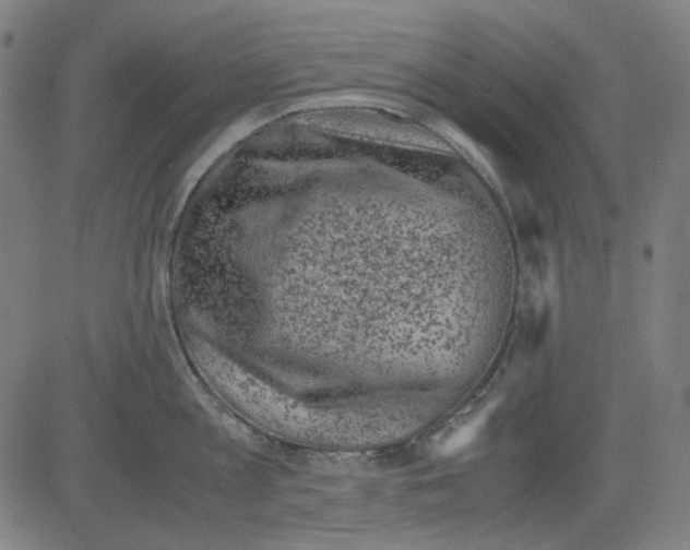 X0000081470813200702092338