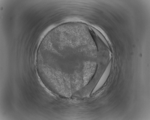 X0000081470815200702092338