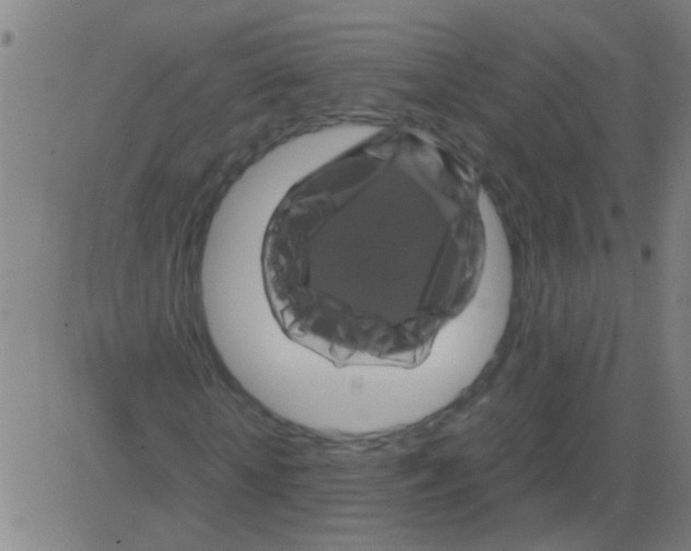 X0000081470818200702092337