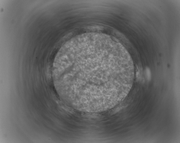 X0000081470819200702092337