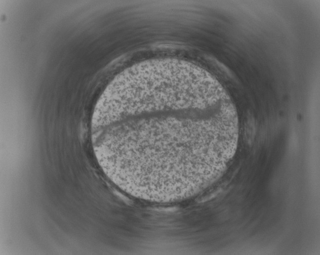 X0000081470821200702092337