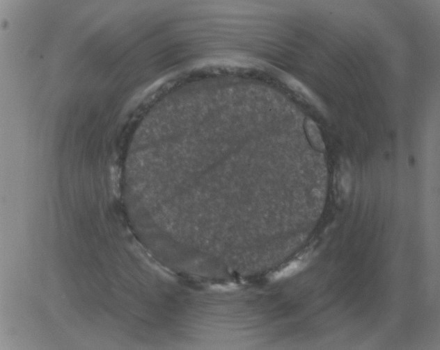 X0000081470822200702092337