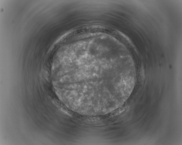 X0000081470823200702092337