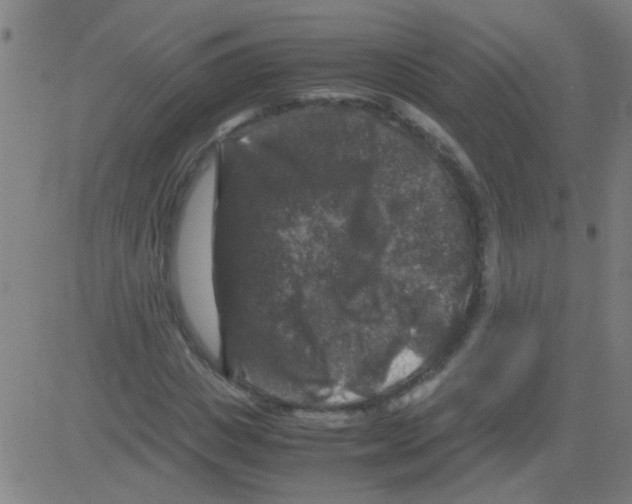 X0000081470825200702092337