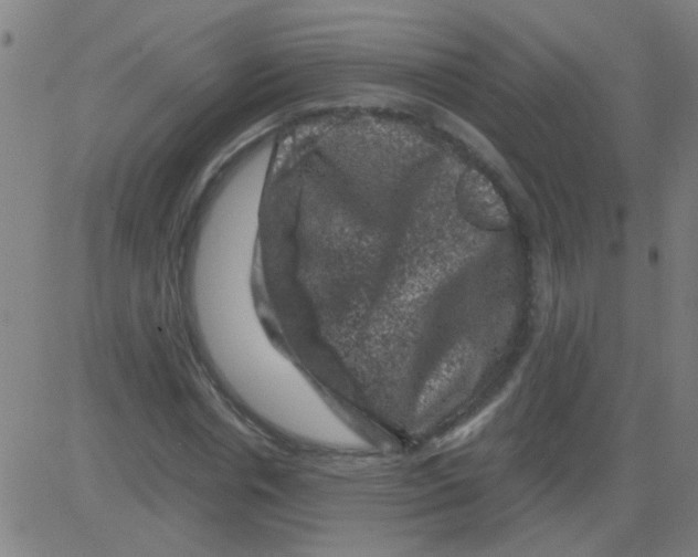 X0000081470826200702092337