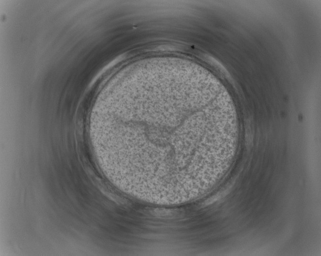 X0000081470827200702092337