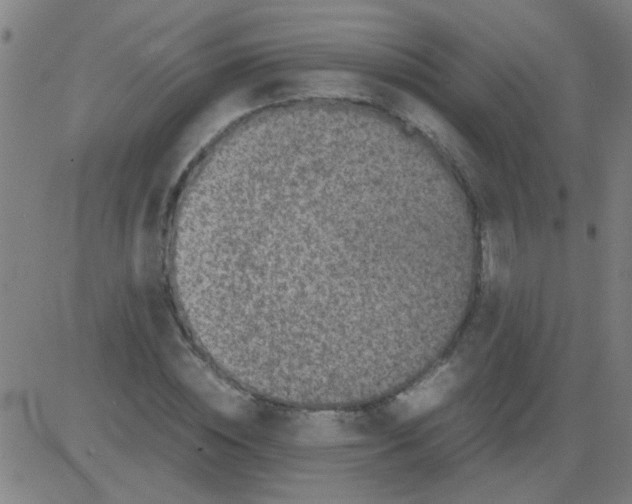 X0000081470828200702092338