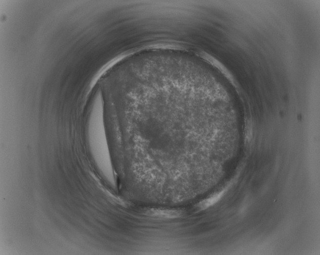 X0000081470829200702092338