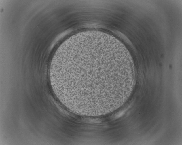 X0000081470831200702092338