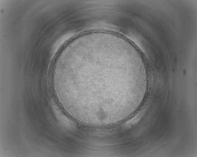 X0000081470832200702092338