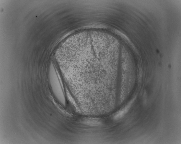 X0000081470833200702092338