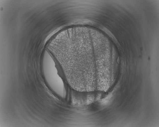 X0000081470834200702092338