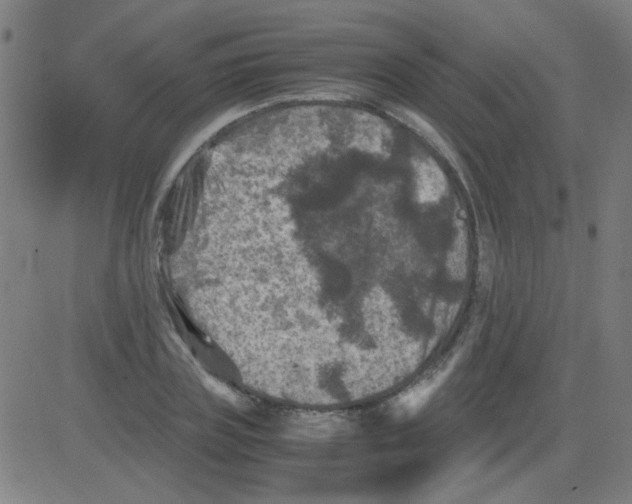 X0000081470835200702092338