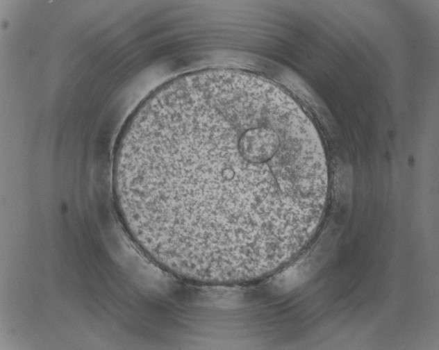 X0000081470836200702092338