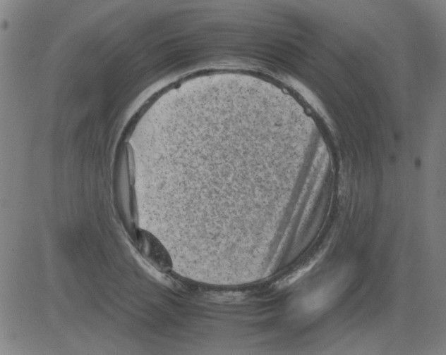 X0000081470837200702092338