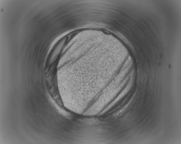 X0000081470838200702092338