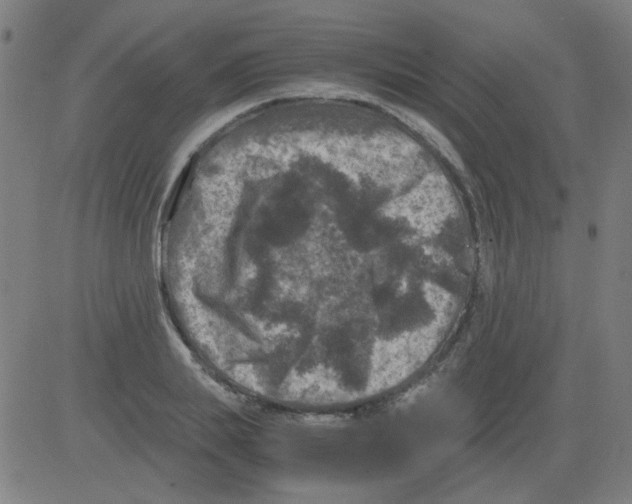 X0000081470839200702092338