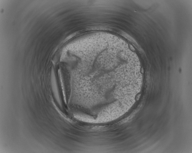 X0000081470841200702092338