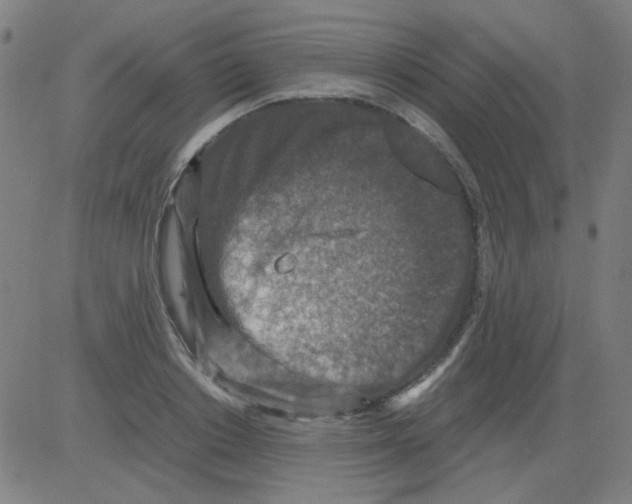 X0000081470842200702092338