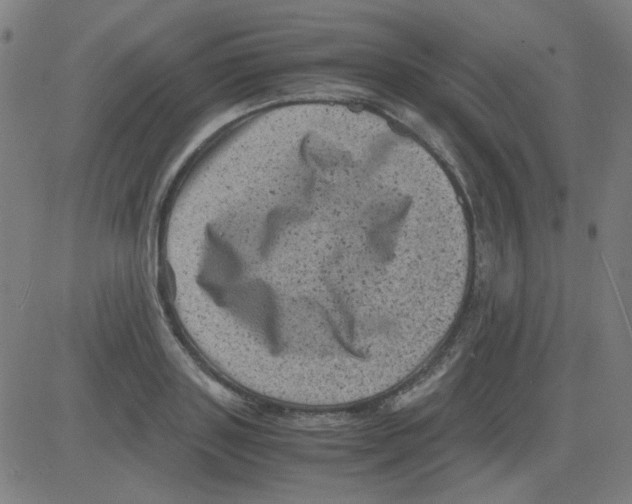 X0000081470843200702092338