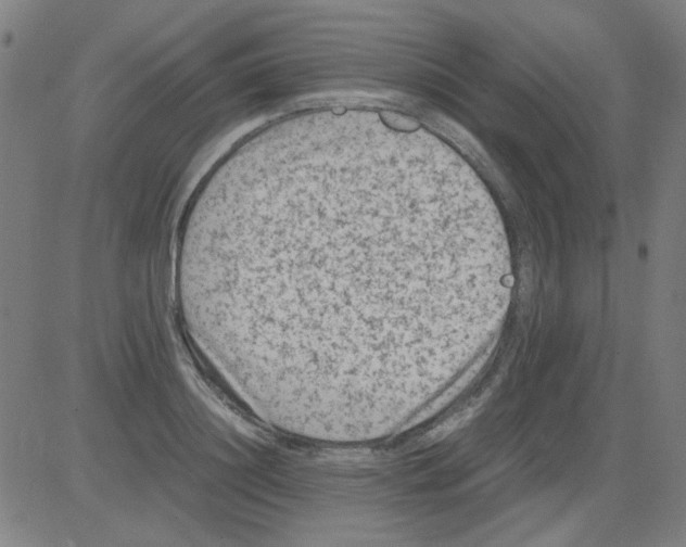 X0000081470844200702092338