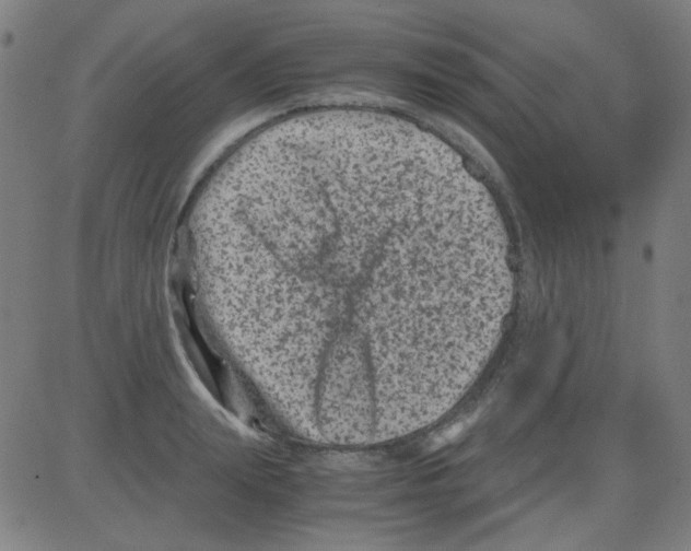 X0000081470847200702092338