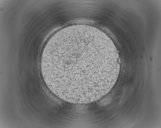 X0000081470848200702092338