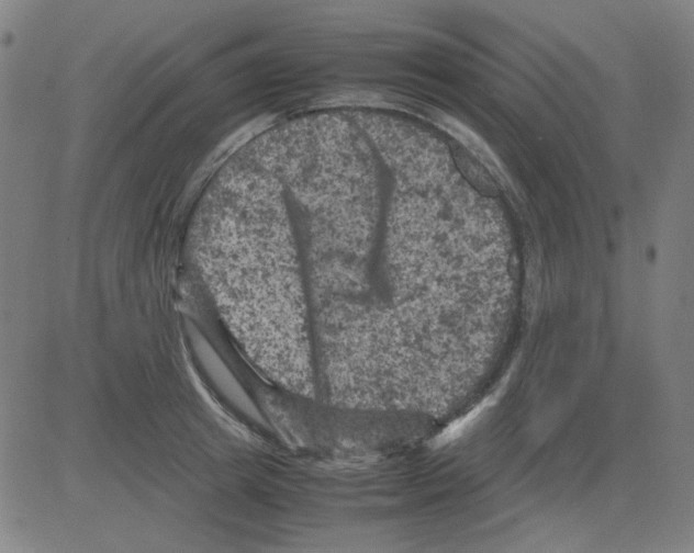 X0000081470849200702092338