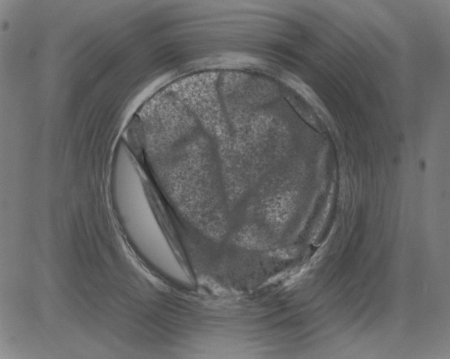 X0000081470850200702092338