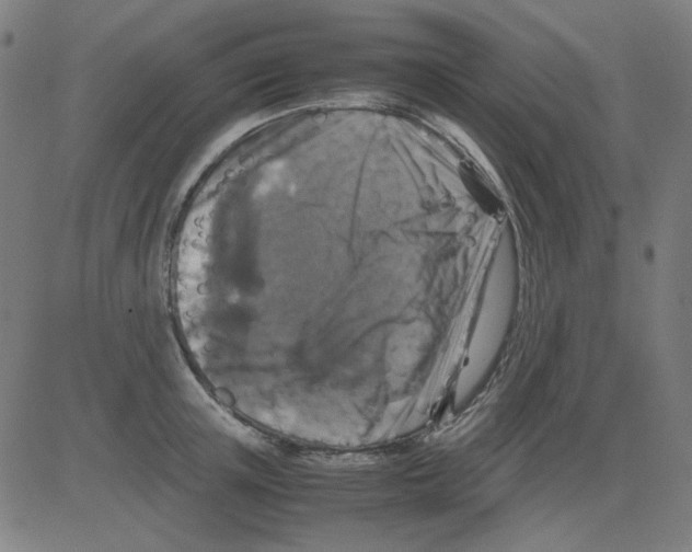 X0000081470851200702092338