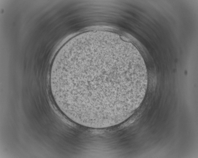 X0000081470852200702092338