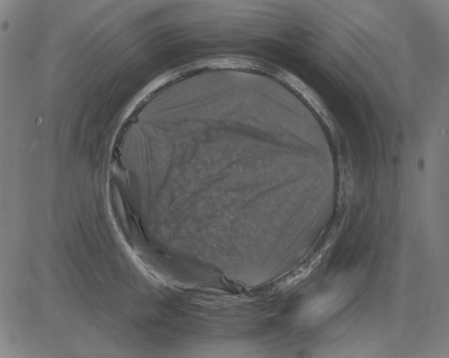 X0000081470853200702092338