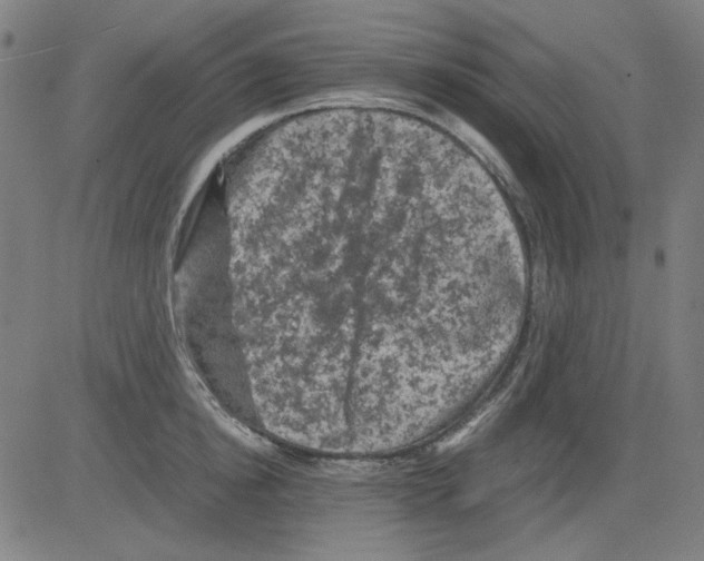 X0000081470854200702092338