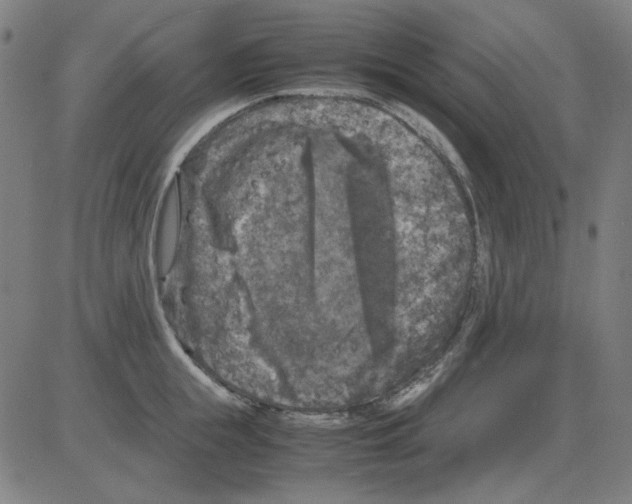 X0000081470855200702092338