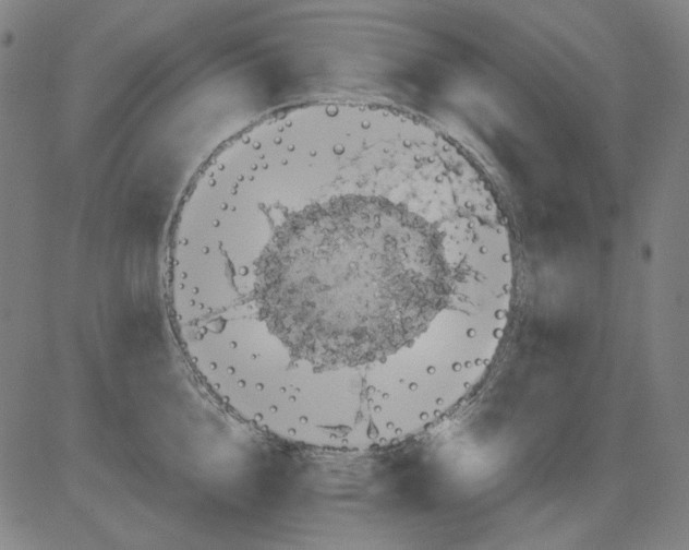 X0000081470856200702092338