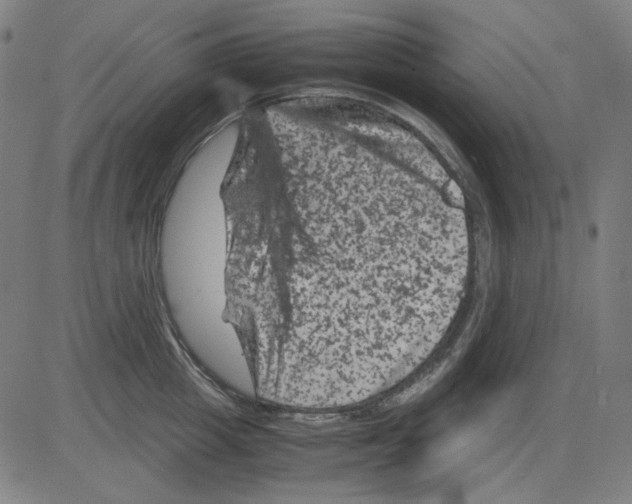 X0000081470857200702092338