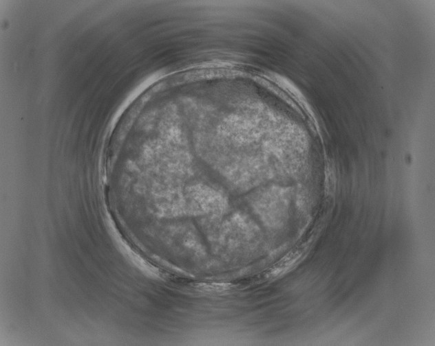 X0000081470859200702092338