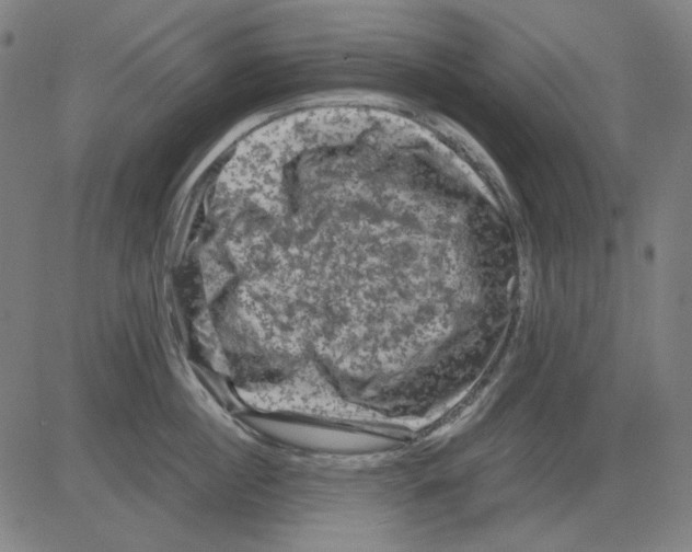 X0000081470860200702092338