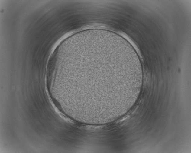 X0000081470861200702092338