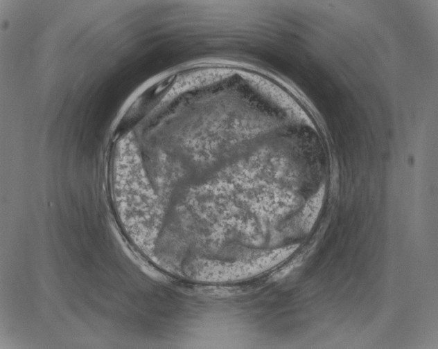 X0000081470862200702092338