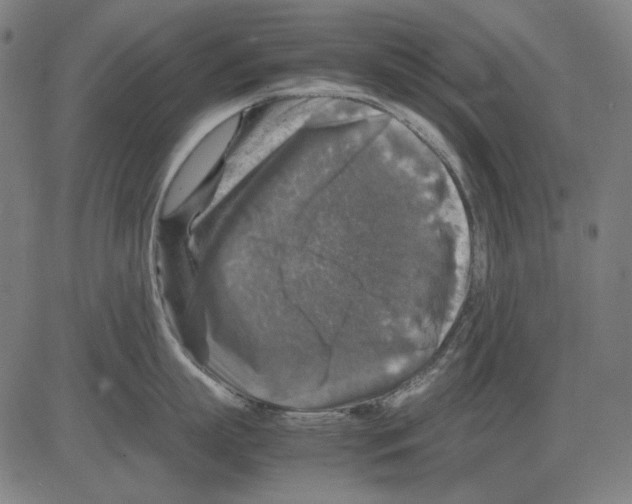 X0000081470863200702092338